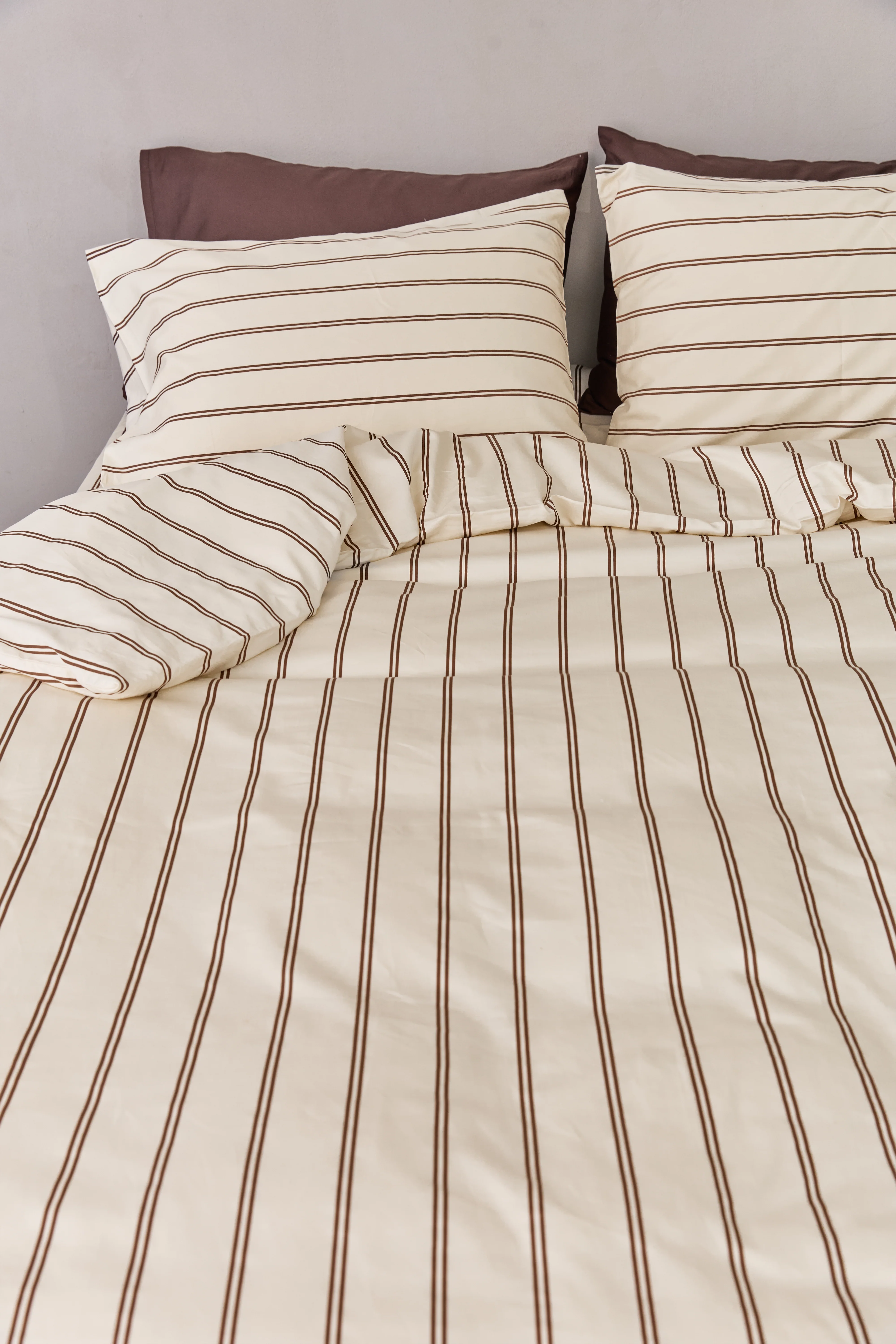 ืกื ืืฆืขื ืกืืื 500 Brown Stripes - Image 4