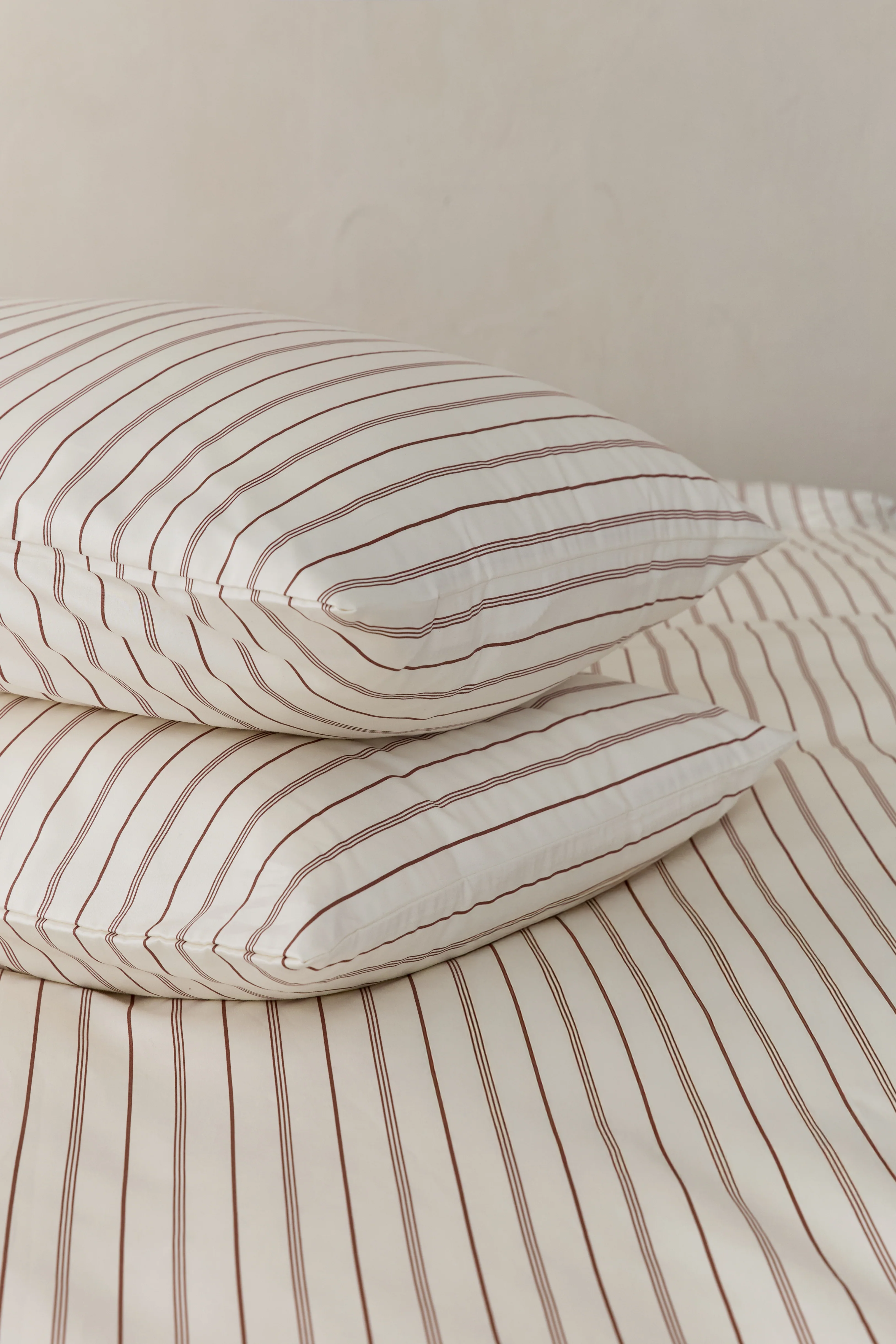 ืกื ืืฆืขื ืกืืื 500 Hazelnut Stripes - Image 5